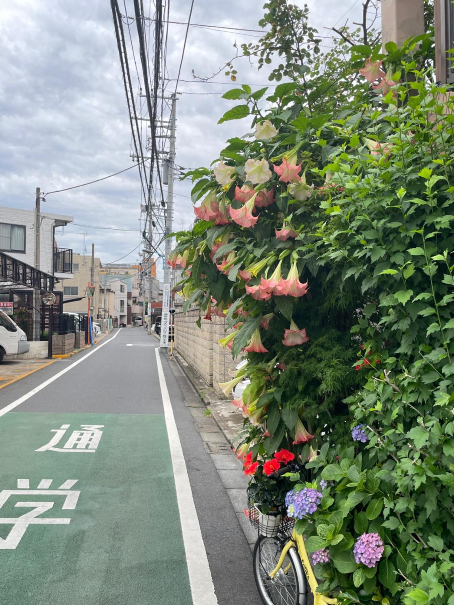Apartemen 新宿庭院の屋-shinjuku Garden -28 Square Meters King Size Bed Garden