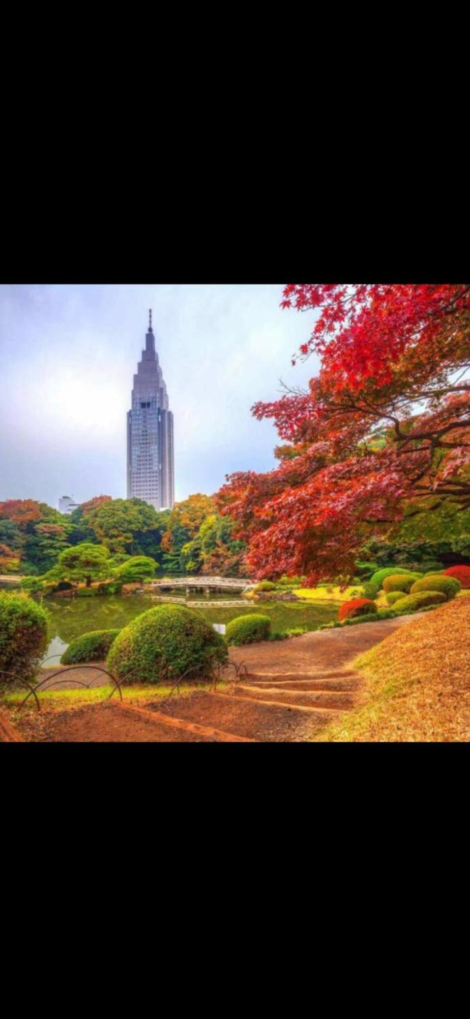 Apartemen 新宿庭院の屋-shinjuku Garden -28 Square Meters King Size Bed Garden Tokyo