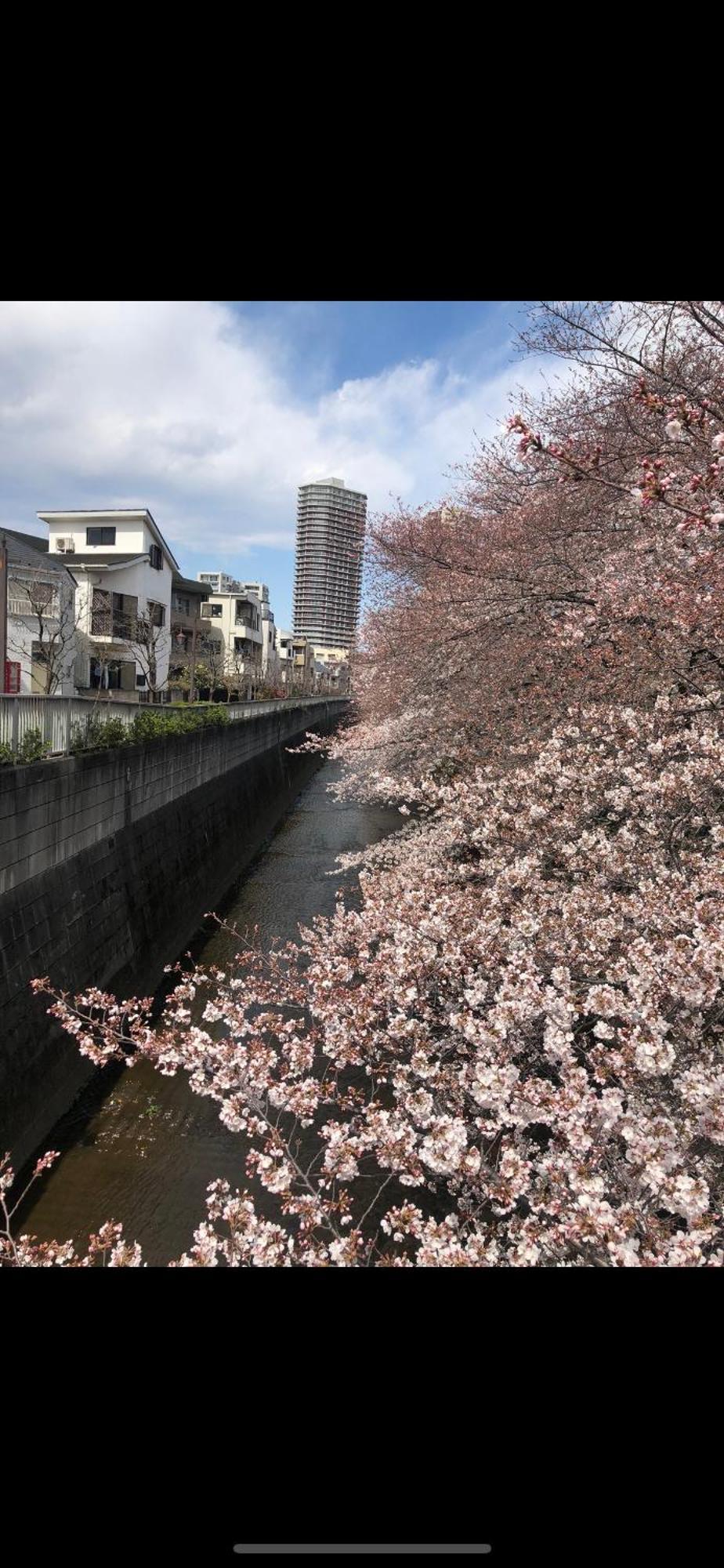 Apartemen 新宿庭院の屋-shinjuku Garden -28 Square Meters King Size Bed Garden